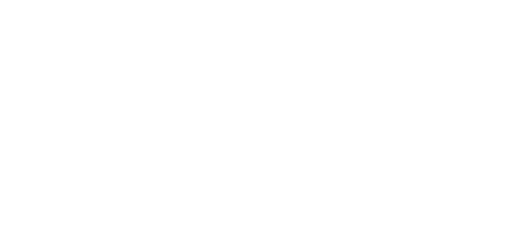 Cemis Agency